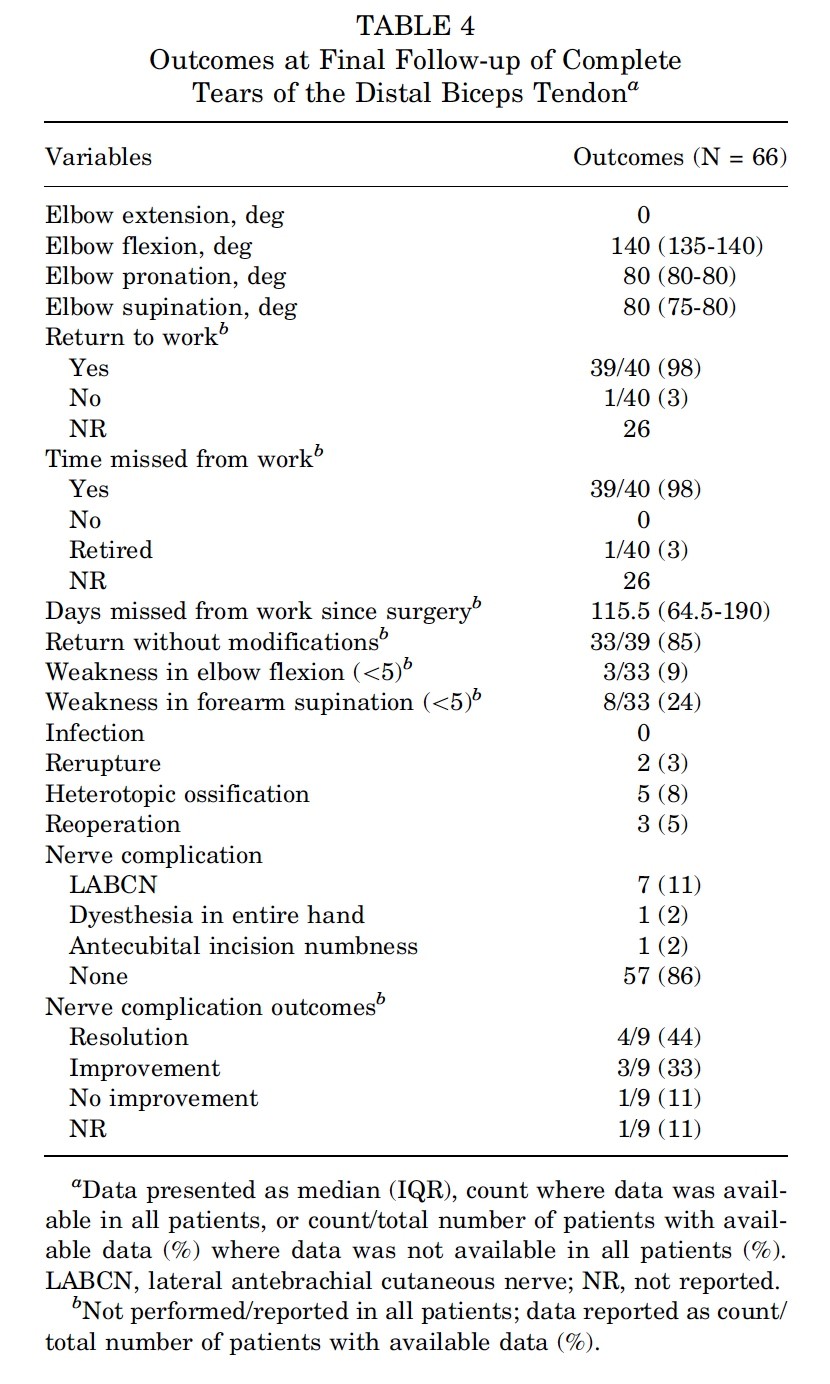 biceps muscle and tendon